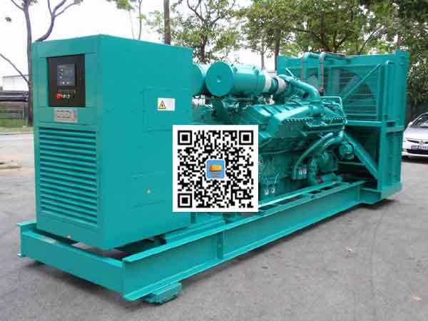 娄星租赁发电机-康明斯发电机性价比还是比较高的